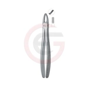 Upper Centrals and Canines Dental Instrument