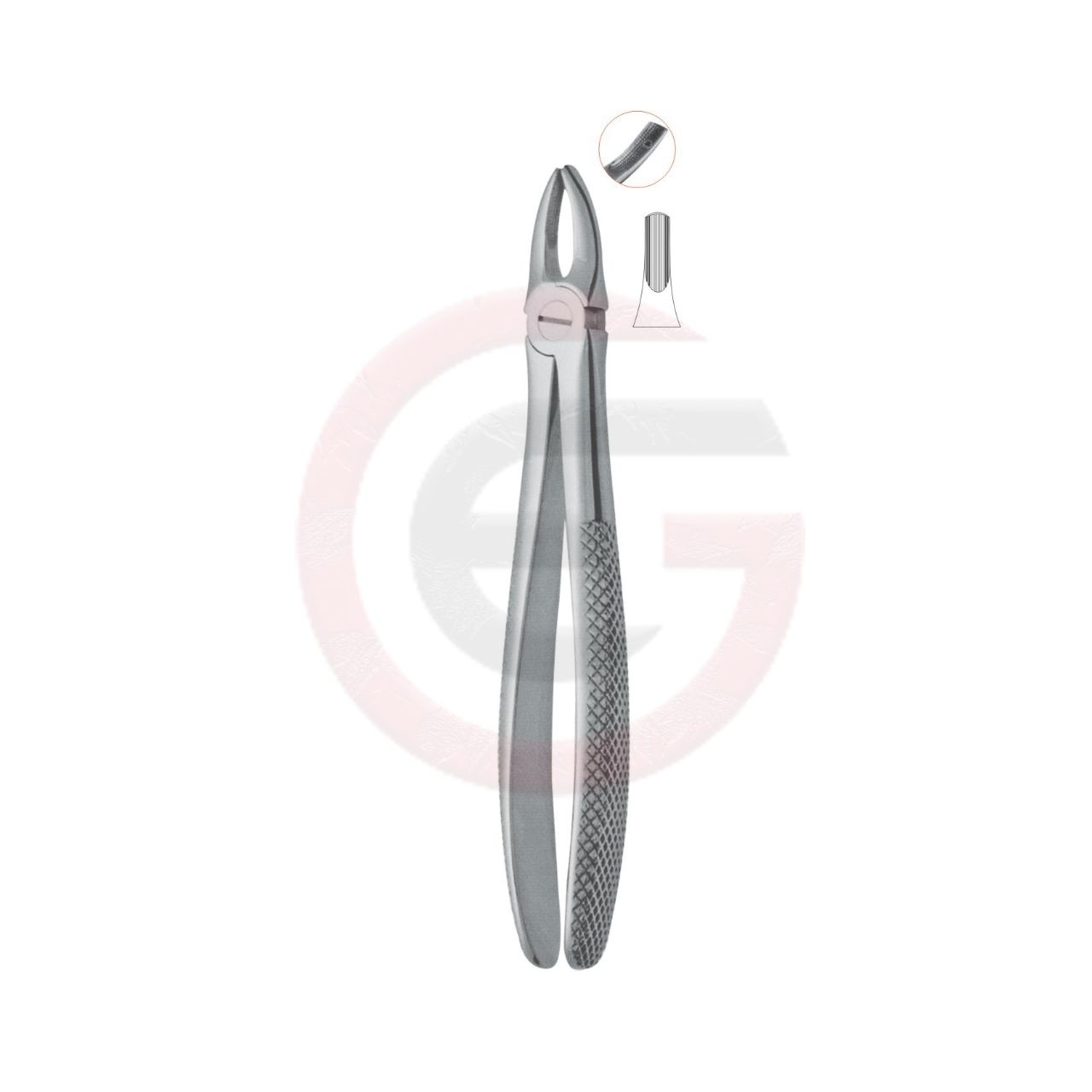 Upper Centrals and Canines Dental Instrument
